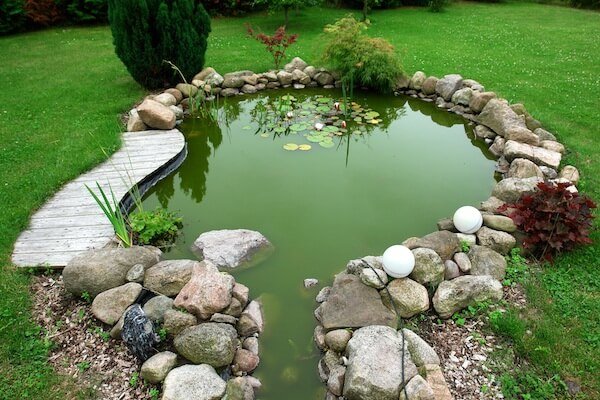 goldfish garden pond