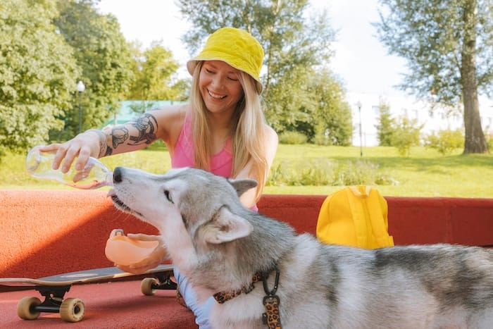 woman with husky